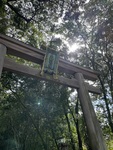 大神神社は私のパワースポット！強運を味方につけるご縁の広がり