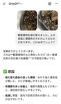仕事にも生活にも使える！女性経営者が実践するChatGPTとの付き合い方